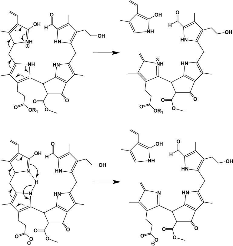 Scheme 3