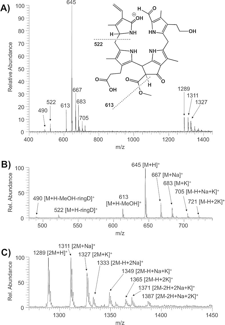 Fig. 1