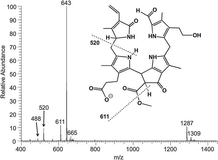 Fig. 2