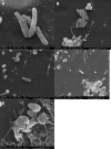 FIG 5