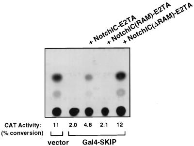 FIG. 6