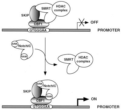 FIG. 11