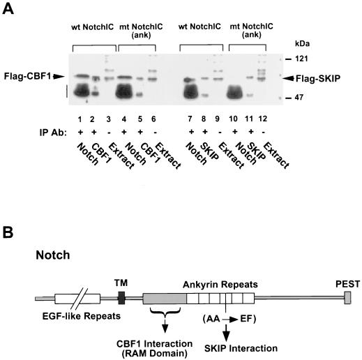 FIG. 9