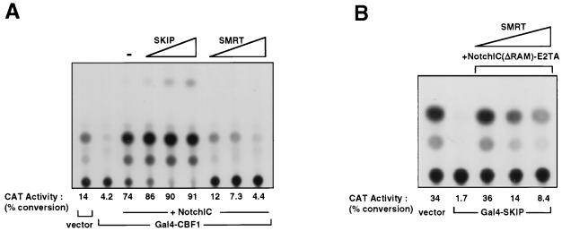 FIG. 7