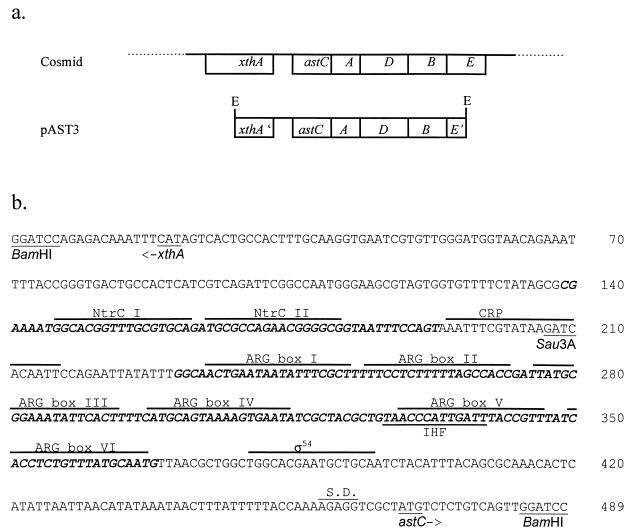 FIG. 1