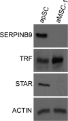 FIG. 6.