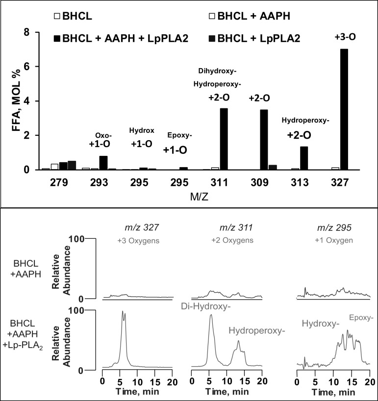 Fig. 6.