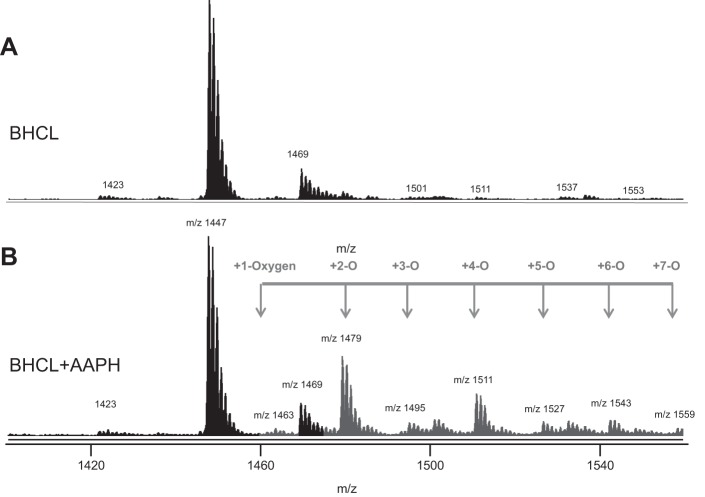 Fig. 4.