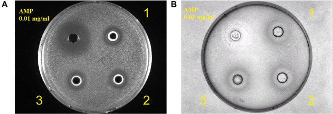 Fig. 5.