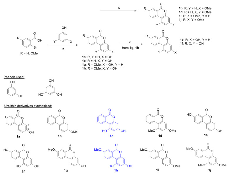 Scheme 1