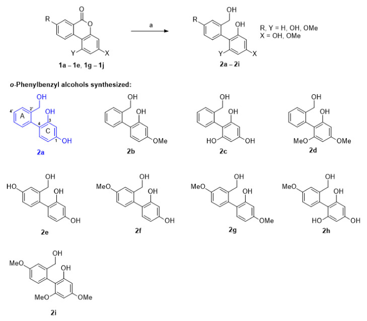 Scheme 2