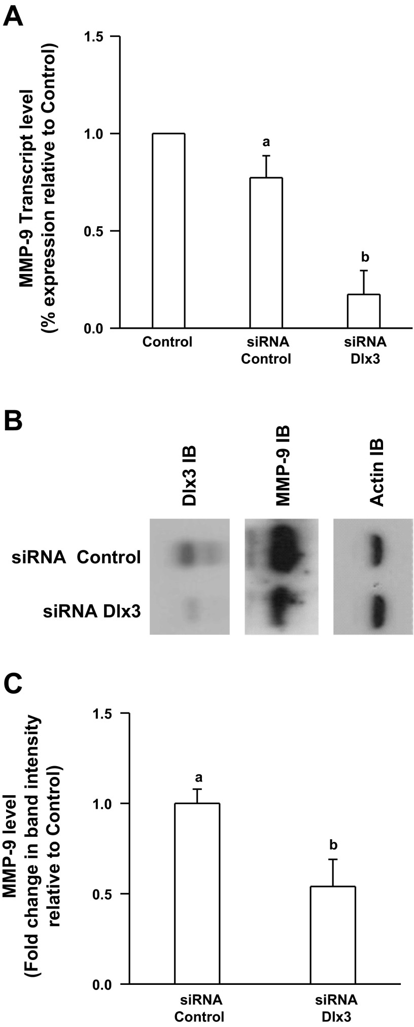 Fig. 6.