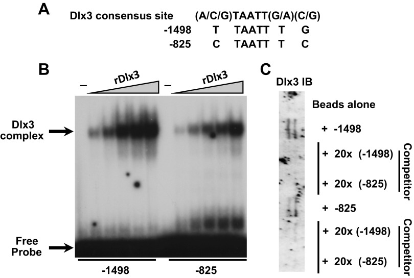 Fig. 3.