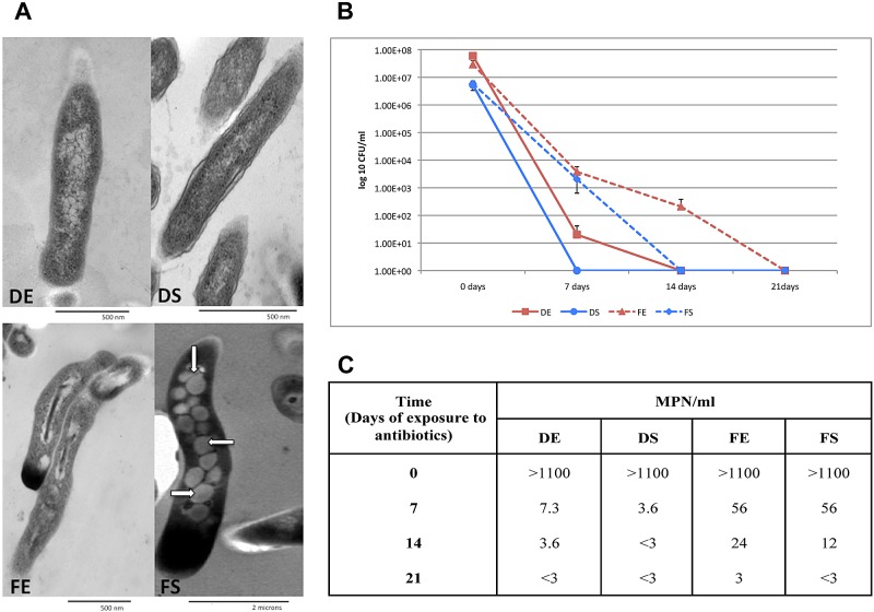 FIG 3 