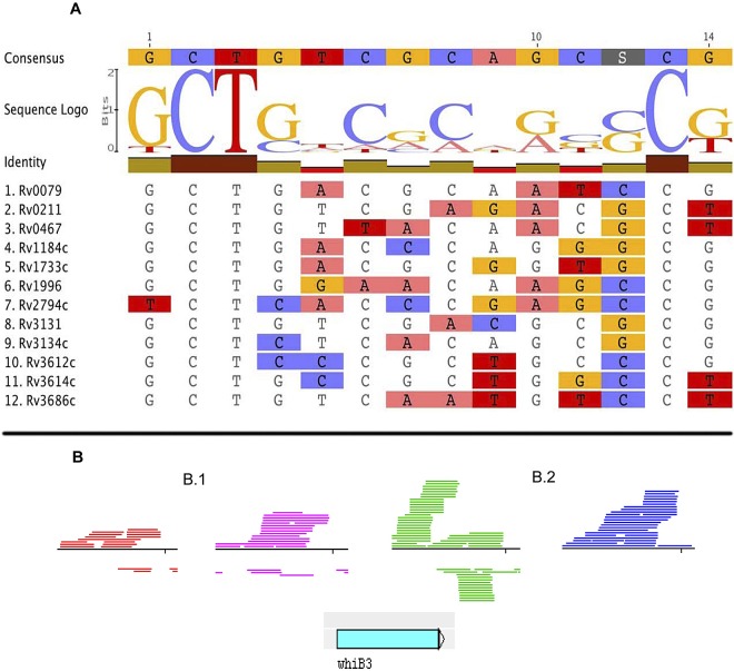 FIG 4 