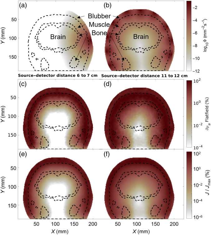 Fig. 4