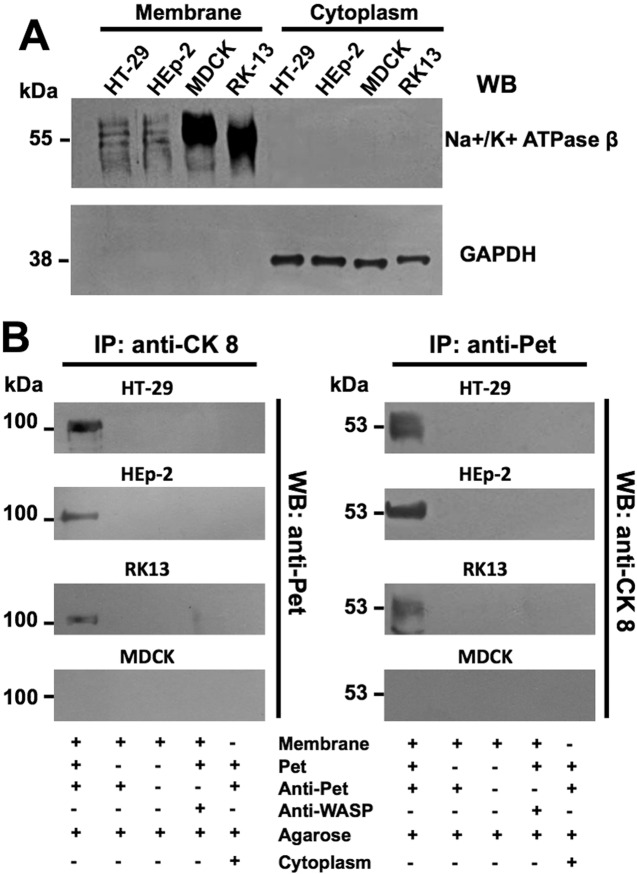 FIG 2 