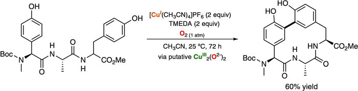 Figure 17.