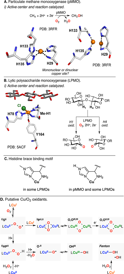 Figure 19.