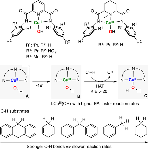 Figure 25.