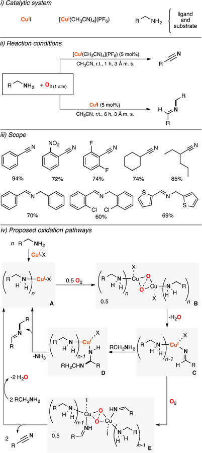 Figure 11.