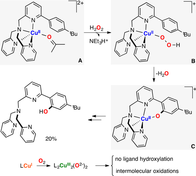 Figure 44.