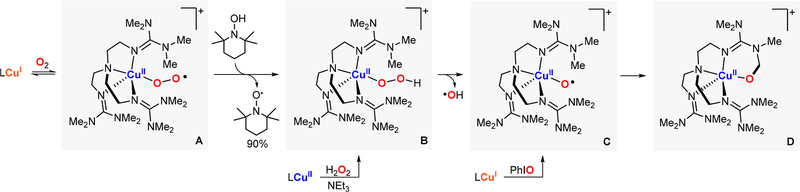 Figure 24.