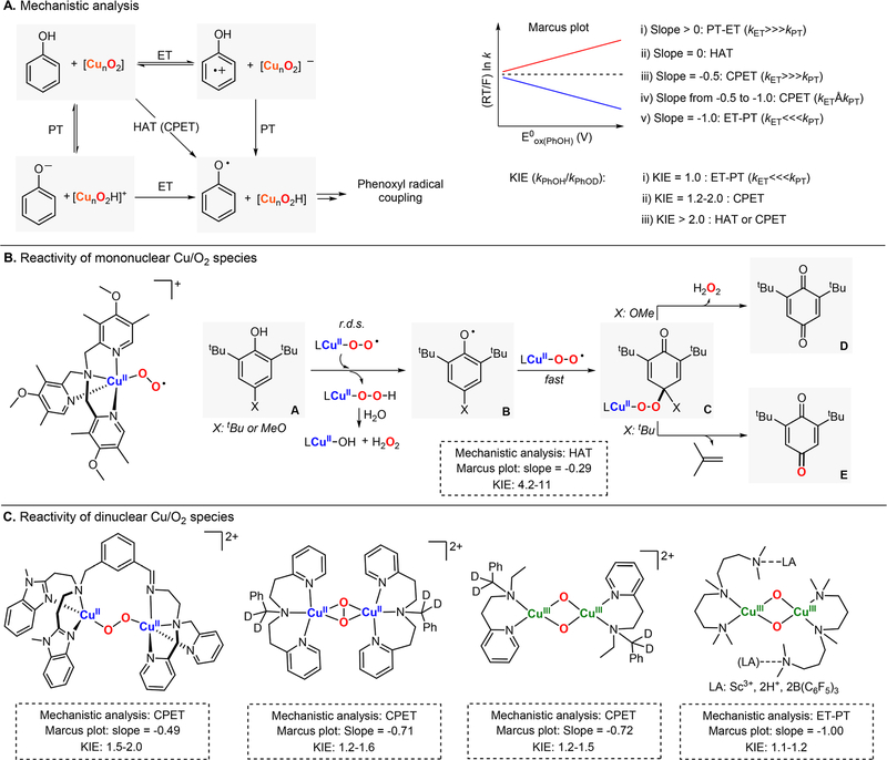 Figure 13.