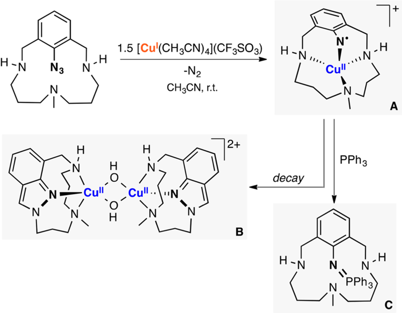 Figure 65.