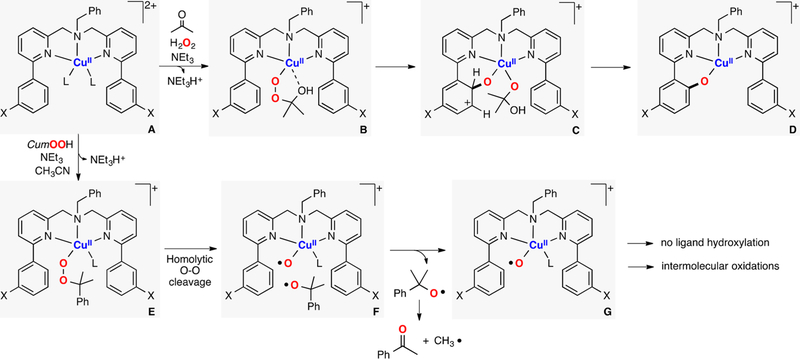 Figure 45.