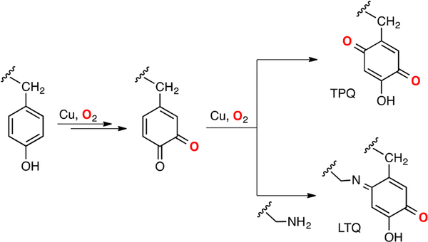 Figure 12.