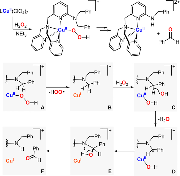 Figure 22.