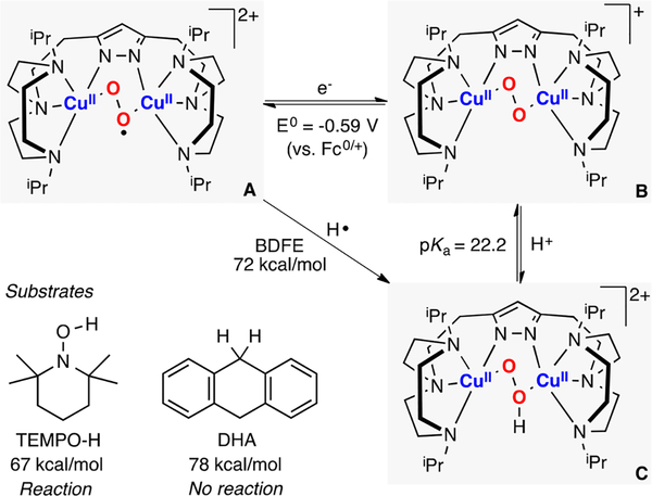 Figure 26.