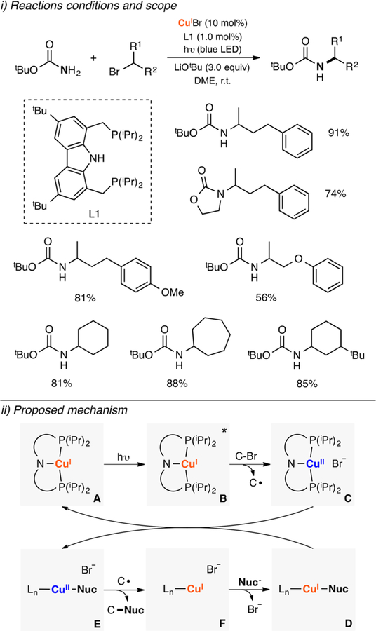 Figure 95.