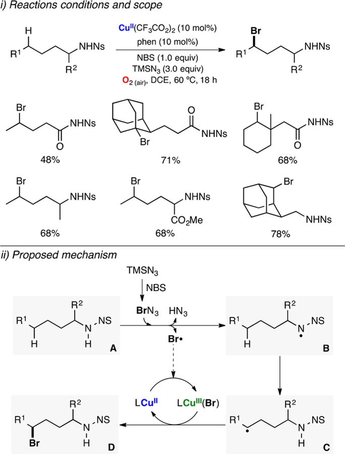 Figure 100.