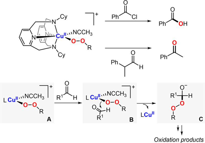 Figure 54.