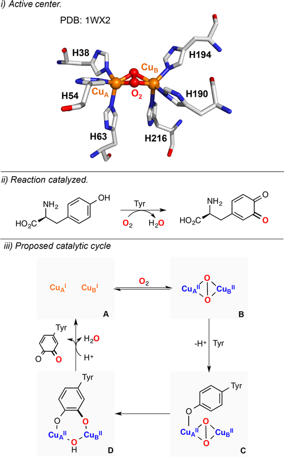 Figure 39.