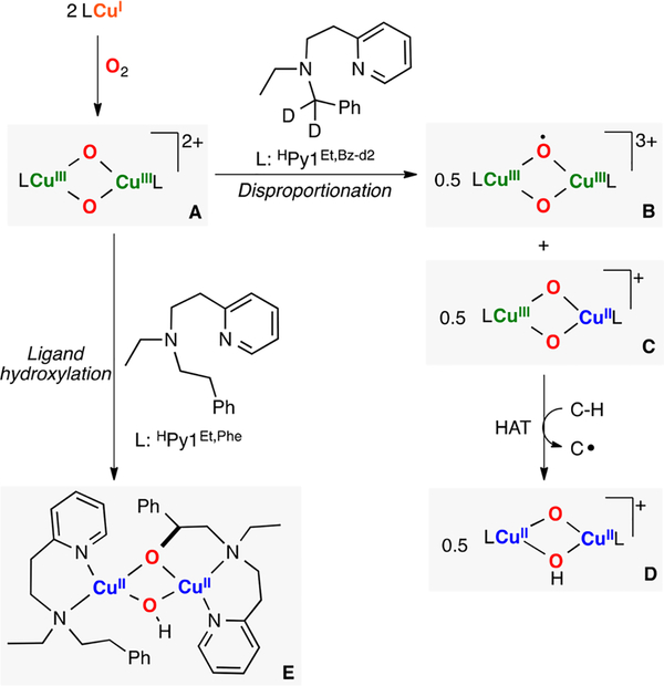 Figure 28.