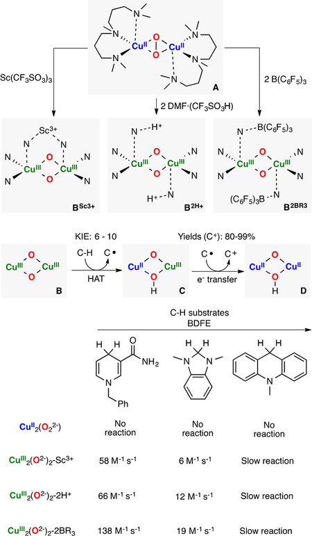 Figure 30.