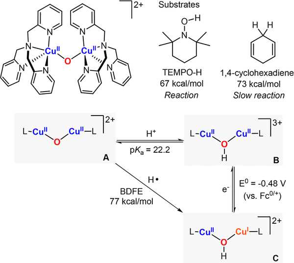 Figure 31.