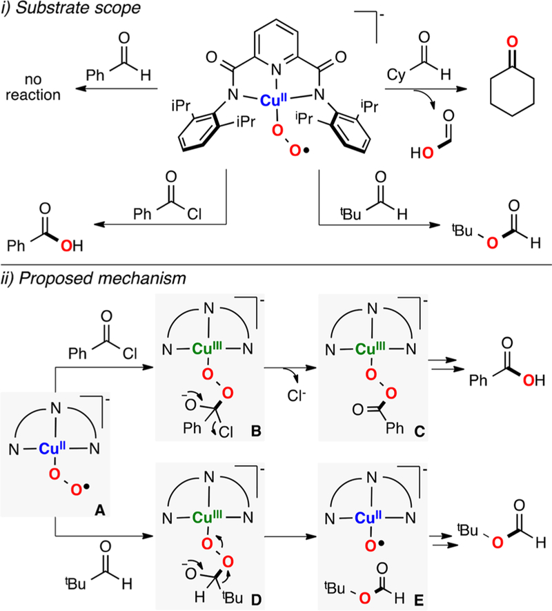 Figure 53.