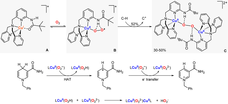 Figure 21.