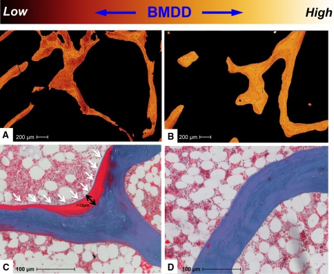 Fig. 4A–D