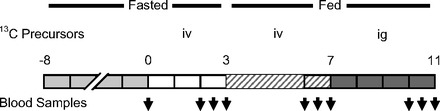 Fig. 2.