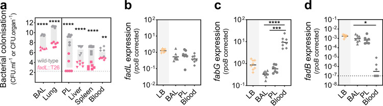 FIG 2