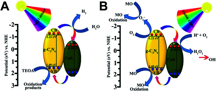 Fig. 8