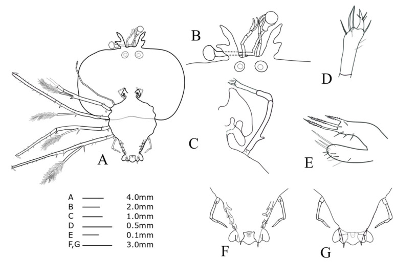 Fig. 10.