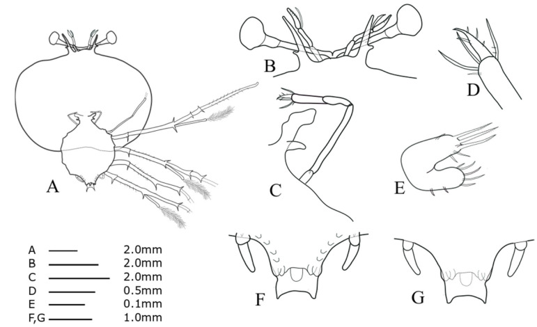 Fig. 8.