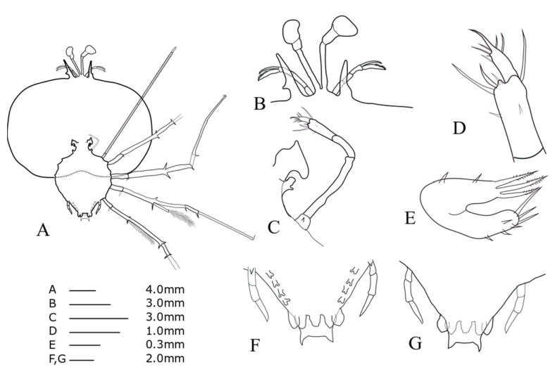 Fig. 9.