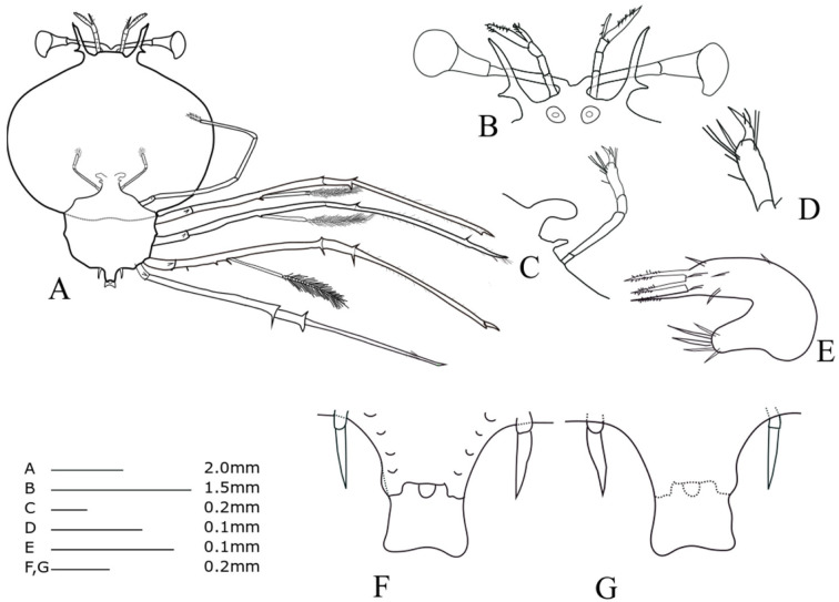 Fig. 11.